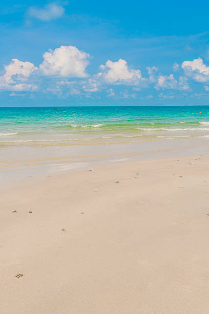 istock Beautiful white sand beach with blue sea and sky 623510444