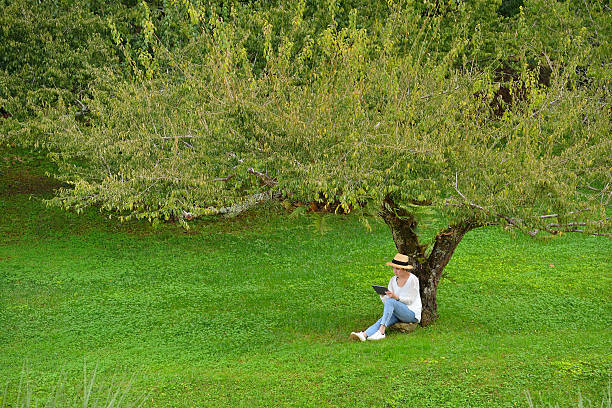 istock Woman enjoying the nature 623512432