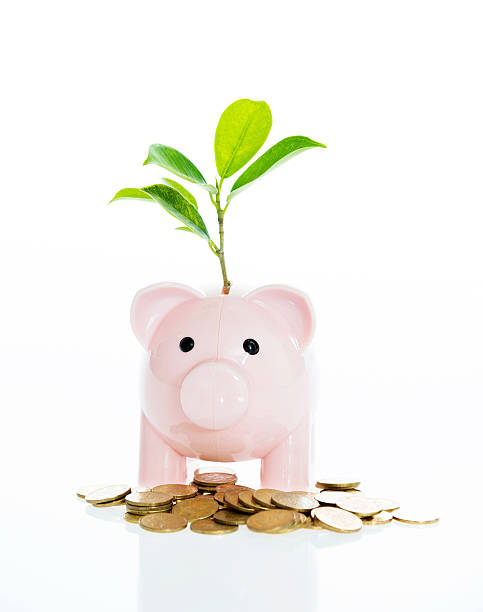 istock Growing investments concept 623513740