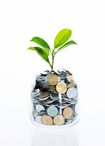 Young plant growing from coin jar