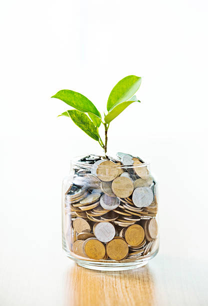 istock Young plant growing from coin jar 623514160