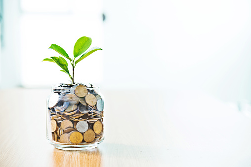 Young plant growing from coin jar, growing investments concept.