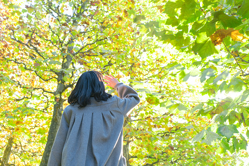 Woman looking at yellow leaves.