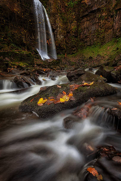 istock Autumn at Melincourt 623516386