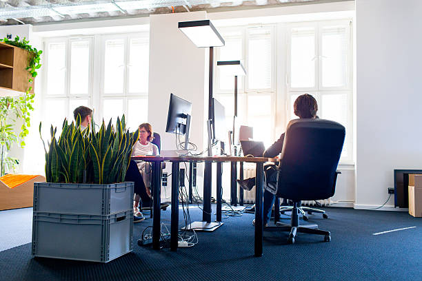 istock Wide angle image of people working in the office 623519756
