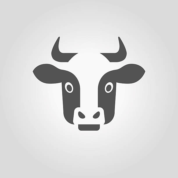 Cow head icon. Vector illustration with modern black horned dairy cow head in minimalistic style . pics of the holstein cow stock illustrations