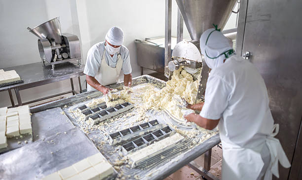 istock Men working at a dairy factory 623523108