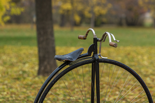 Detail of a penny-farthing bicycle in a park with fallen autumn leaves