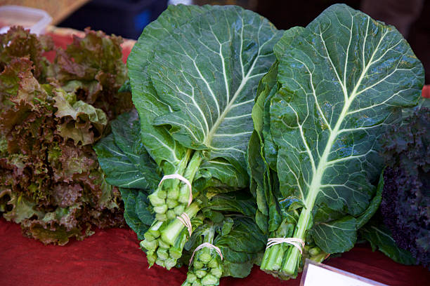 collard greens and Lettuce at the farmer's market stock photo