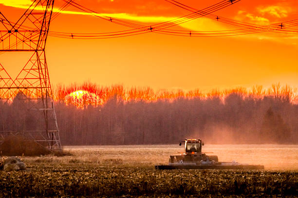 istock Corn harvest in autumn, Electric pylons 623524166