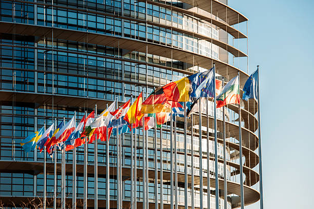 European Parliament frontal flags Strasbourg, France - January 28, 2014: The European Parliament building in Strasbourg, France with flags waving on a spring evening european parliament stock pictures, royalty-free photos & images