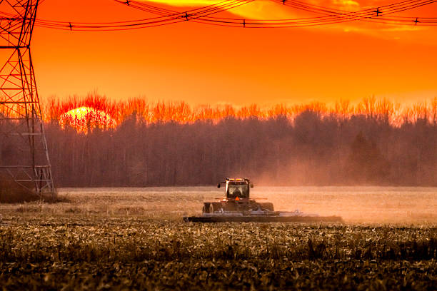 istock Corn harvest in autumn, Electric pylons 623524634