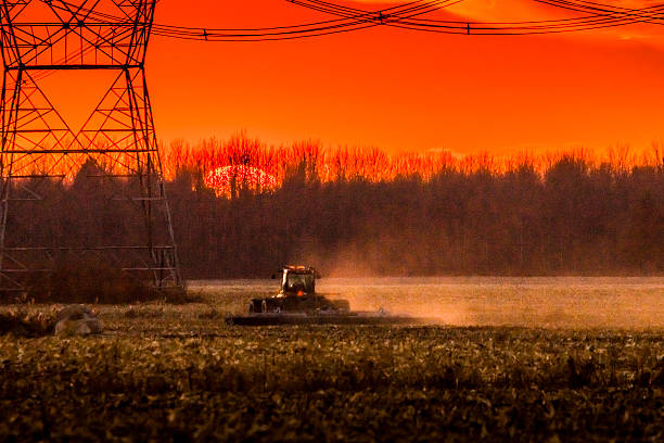 istock Corn harvest in autumn, Electric pylons 623524992