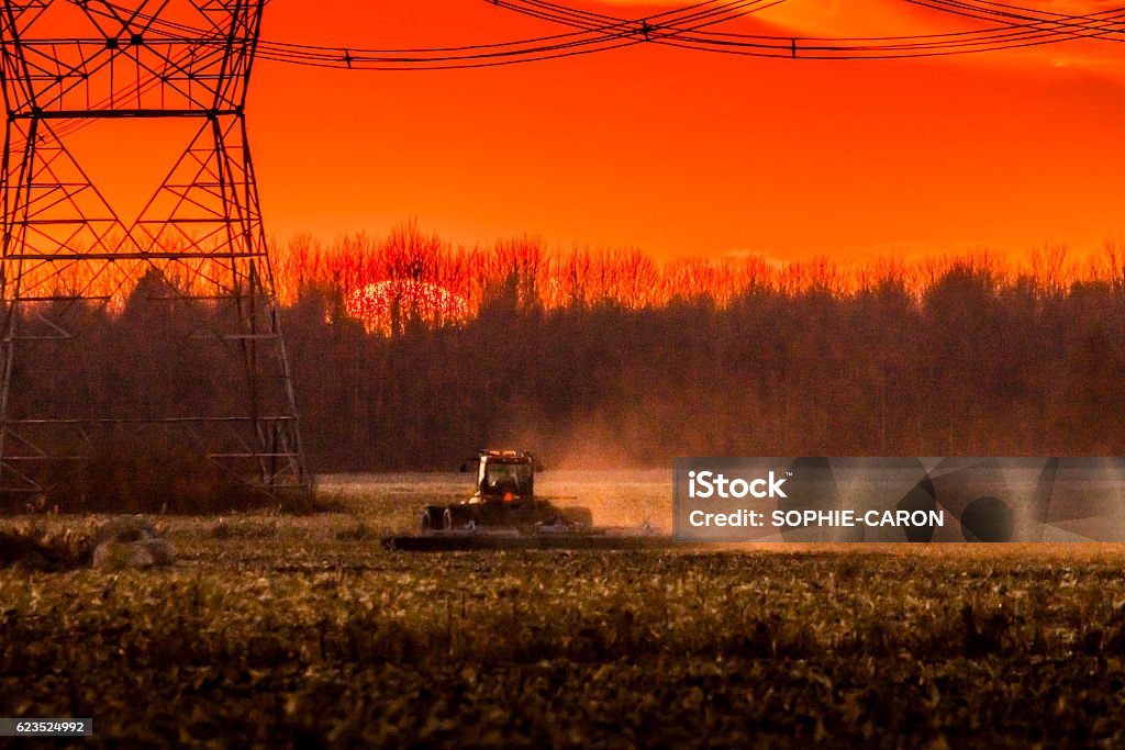 Corn harvest in autumn, Electric pylons Autumn landscape in Montérégie, Quebec, St-Hyacinthe. A tractor ploughs a field at dusk. Electricity pylons. Agricultural Field Stock Photo