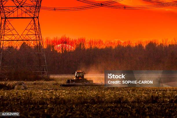 Corn Harvest In Autumn Electric Pylons Stock Photo - Download Image Now - Agricultural Field, Agricultural Machinery, Agriculture