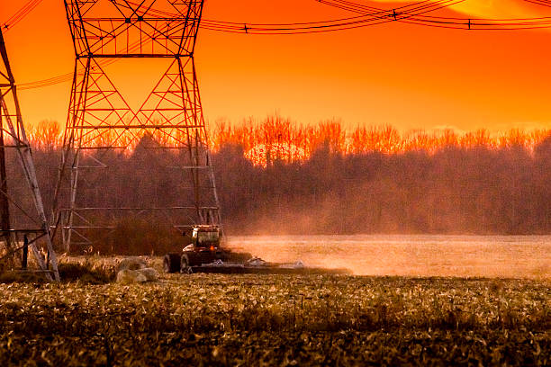 istock Corn harvest in autumn, Electric pylons 623525324