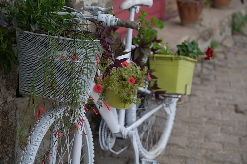Decorative white bicycle with flower pots at street