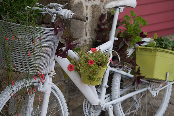 istock Decorative white bicycle with flower pots at street 623527820