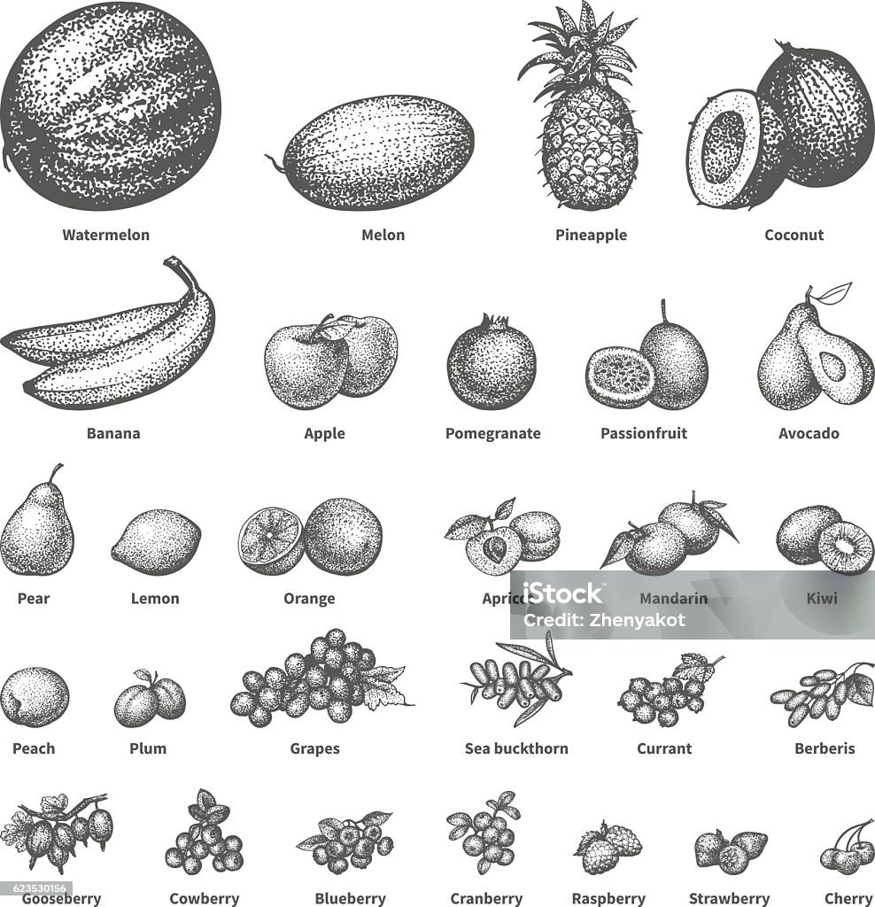 Sketch doodle hand-drawn set fruit Vector illustration sketch doodle hand-drawn set fruit with an inscription. Isolated white background. Background icons for grocery shopping. Collection of juicy fruits and berries. Dietary food. Drawing - Activity stock vector