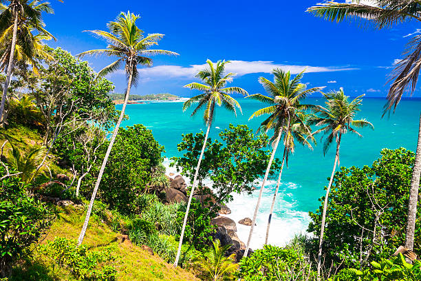 istock beaches of Sri Lanka island 623532020