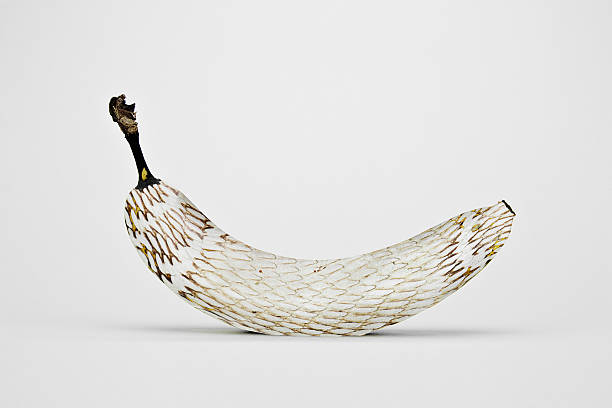 Banana and Snakeskin