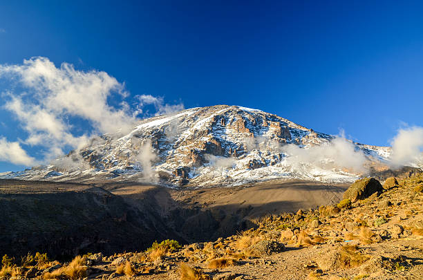 mont kilimandjaro dans la soirée - tanzanie, afrique - uhuru peak photos et images de collection