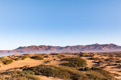 sandy dunes in the desert