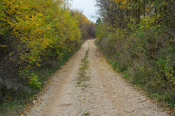 istock Autumn colorfull landscape 623586264