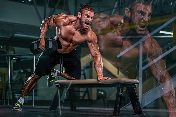 heavy workout im fitnessstudio - abdominal muscle muscular build barbell bicep stock-fotos und bilder
