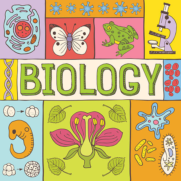 illustrations, cliparts, dessins animés et icônes de affiche sur la biologie - dna science child education