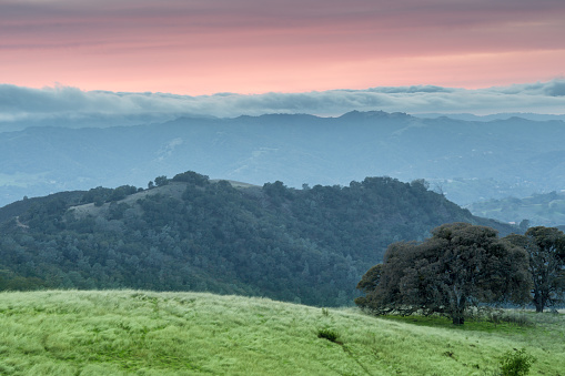 Scenic views of Contra Costa wilderness from BBQ Terrace Road in Mt Diablo State Park.