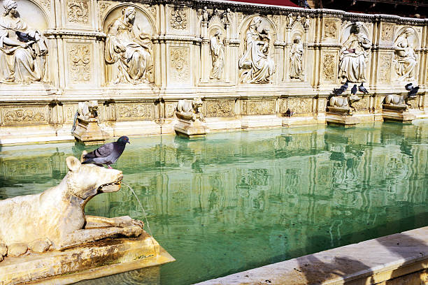 Fonte Gaia (Joyful Fountain) in the Piazza del Campo, Siena, Tuscany, Italy. Close up detail with pigeon. No people.