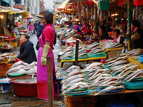 Busan, South Korea - November 7, 2016. Jagalchi Market, located on the shoreside road in Busan's Jung-gu, is Korea's largest seafood market, selling both live and dried fish. After the Korean War the market solidified itself as a fish market. Most of the people who sell fish are women, so the vendors here are called Jagalchi Ajumma, \