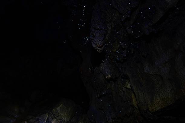 istock Glowworm Cave in New Zealand 623602158