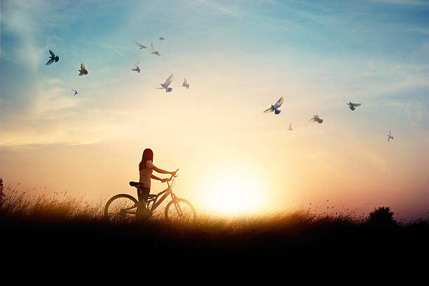Lonely woman standing with bicycle on road of paddy field Lonely woman standing with bicycle on road of paddy field among flying birds and sunset background dove bird photos stock pictures, royalty-free photos & images