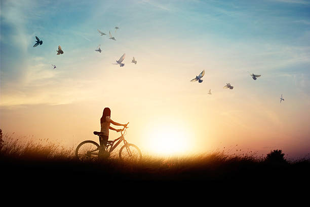 Lonely woman standing with bicycle on road of paddy field Lonely woman standing with bicycle on road of paddy field among flying birds and sunset background women flying bird freedom stock pictures, royalty-free photos & images