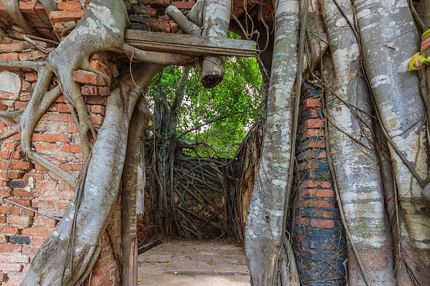 istock Ruins of old temple, Wat Sang Kra Tai 623603348