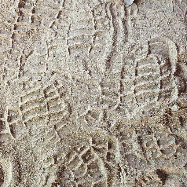 istock Shoe prints in loose sand. Dry soil shoeprints. 623603786
