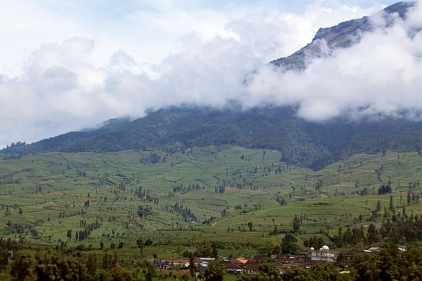 istock Landscape with tobaco plantations in Highlands, central of java. 623605318