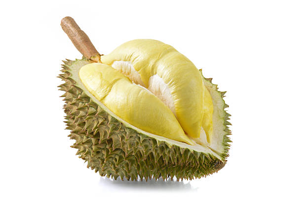 Durian fruit yellow durian in side Mon Thong durian fruit on white background pics of a spiky fruit stock pictures, royalty-free photos & images