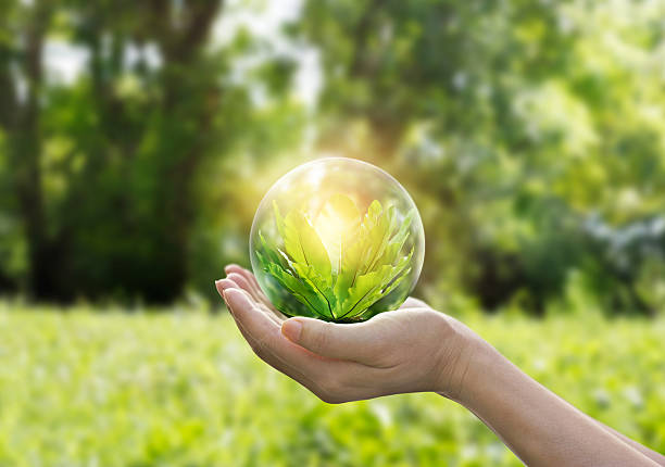 istock Hands protecting globe of green tree on tropical nature summer 623611166