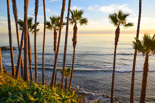 istock Heisler Park Laguna Beach 623611732