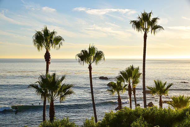 istock Heisler Park Laguna Beach 623612058