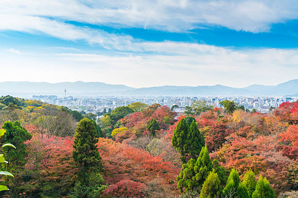 istock Colourful autumn leaves 623612416