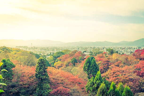 istock Colourful autumn leaves 623612526