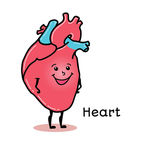 귀엽고 재미있는 인간의 심장 캐릭터 - heart shape human vein love human artery stock illustrations