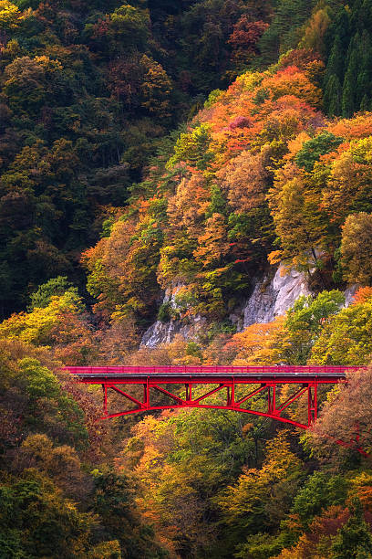 istock Beautiful Autumn scene on mountain 623616132