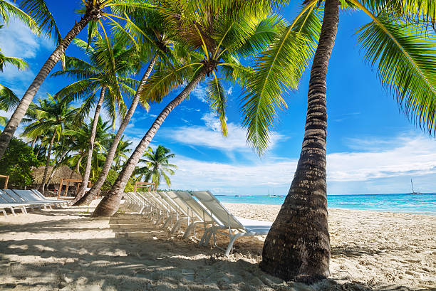 istock beach with sun loungers 623616524