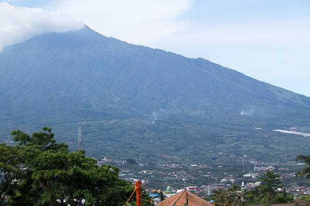 istock Landscape with tobaco plantations in Highlands, central of java. 623618094