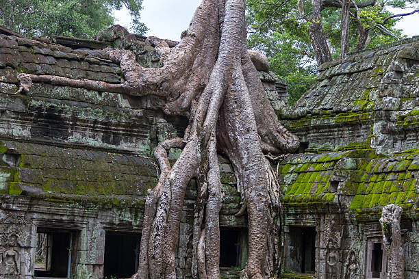 istock Ta Prohm Temple, Angkor, Cambodia 623618810